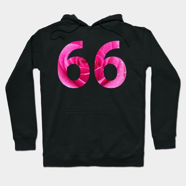 66 celebration day Hoodie by Moonsayfar 